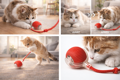 🐾 Felinove™ – La Balle Interactive Qui Réveille l’Instinct de Chasseur de Votre Chat